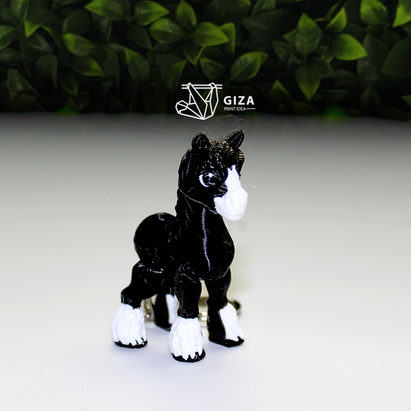 Caballo