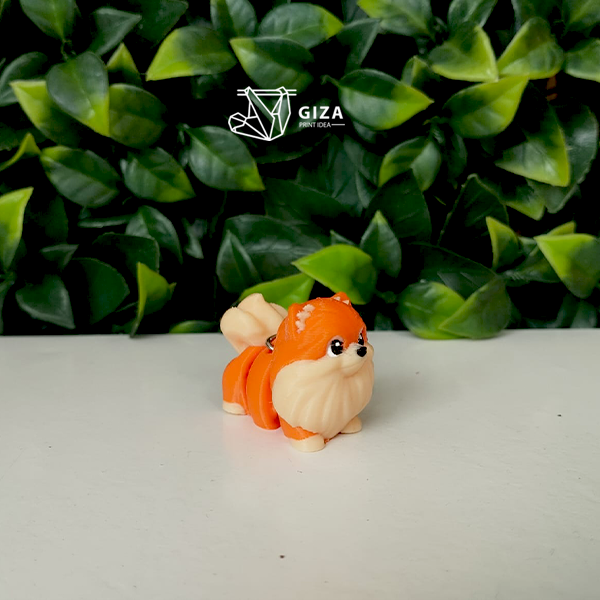 🐕🦺 Pomerania Mini