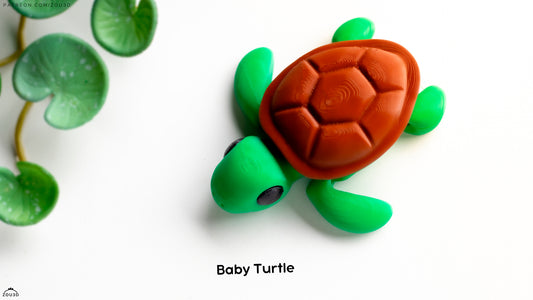 Tortuga Bebé