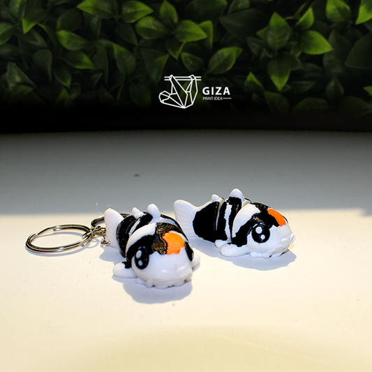 Peces Koi