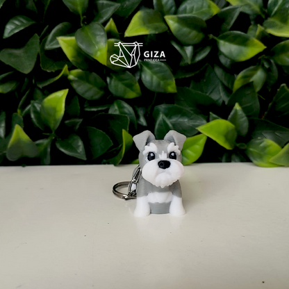 🐶Schnauzer Mini