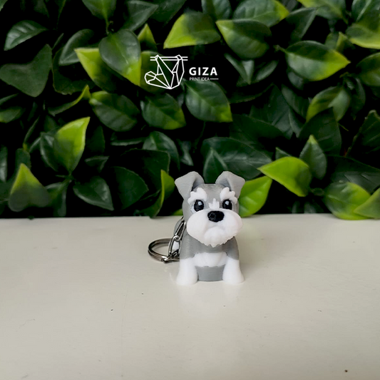 🐶Schnauzer Mini