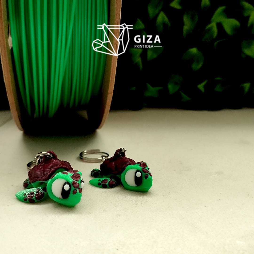 Tortuga Bebé