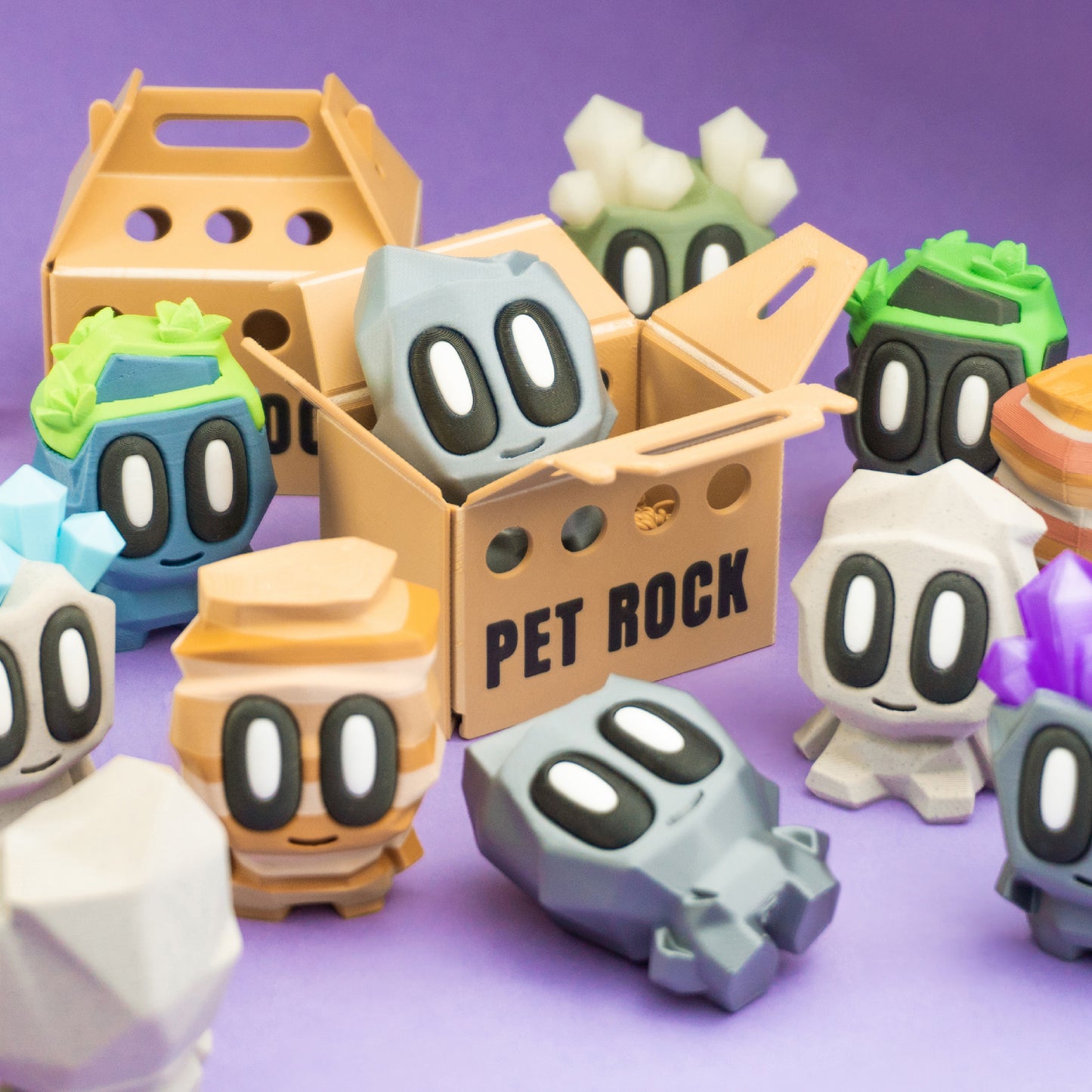 Pet Rocks